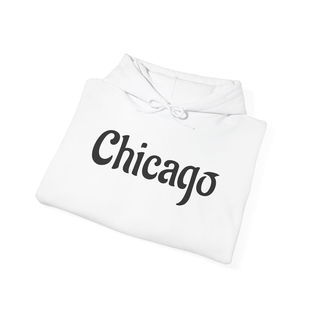 Chicago Willis Tower Sweatshirt — Classic Downtown Chicago Sweater
